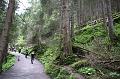 AUS30052009 (66)